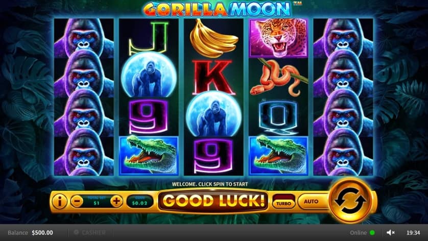 Gorilla Moon 1